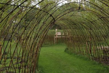 Willow tunnel through productive garden at The Pasture