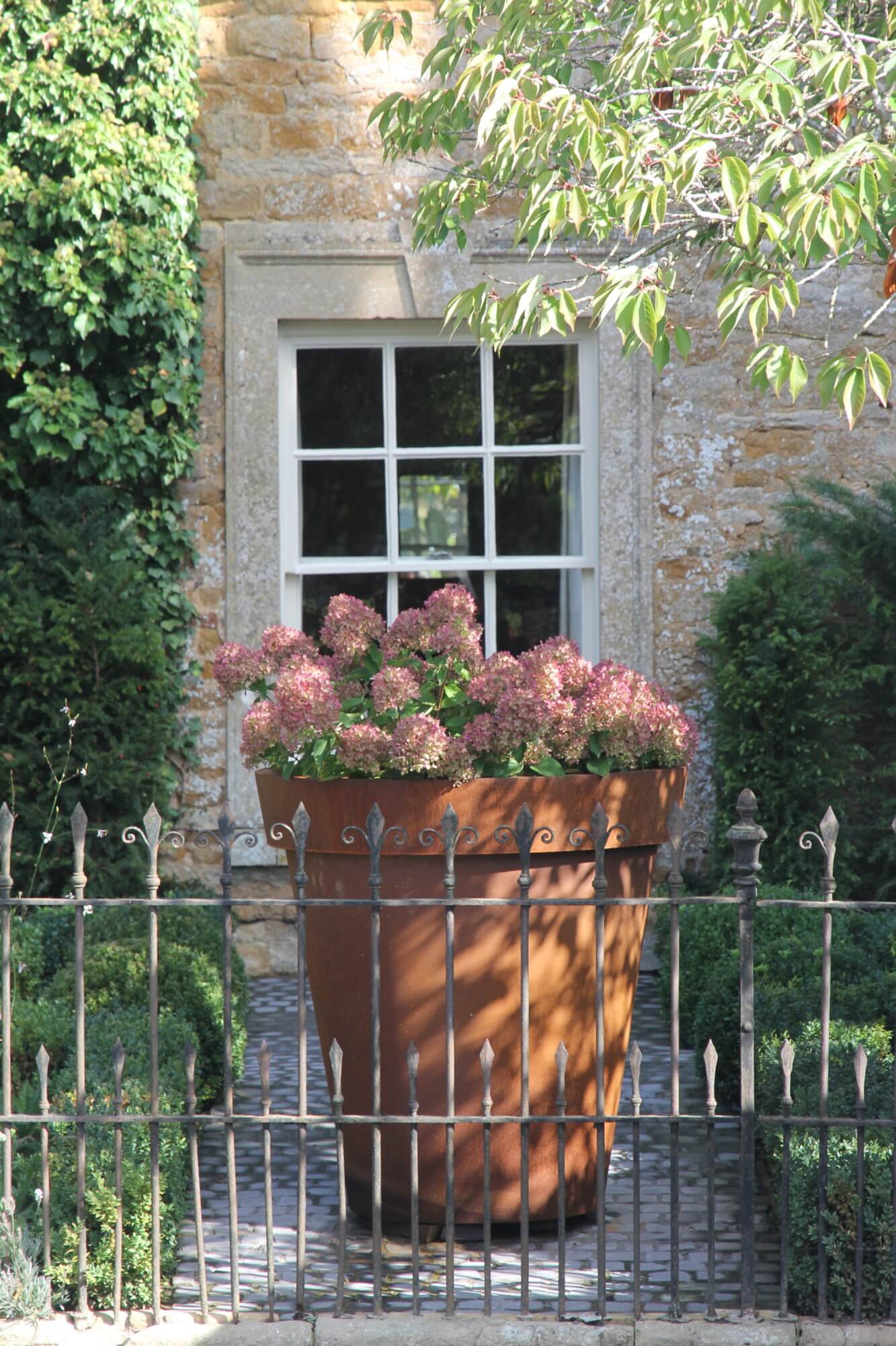 Aged rusty planter filled with hydrangea plants in front of sash window