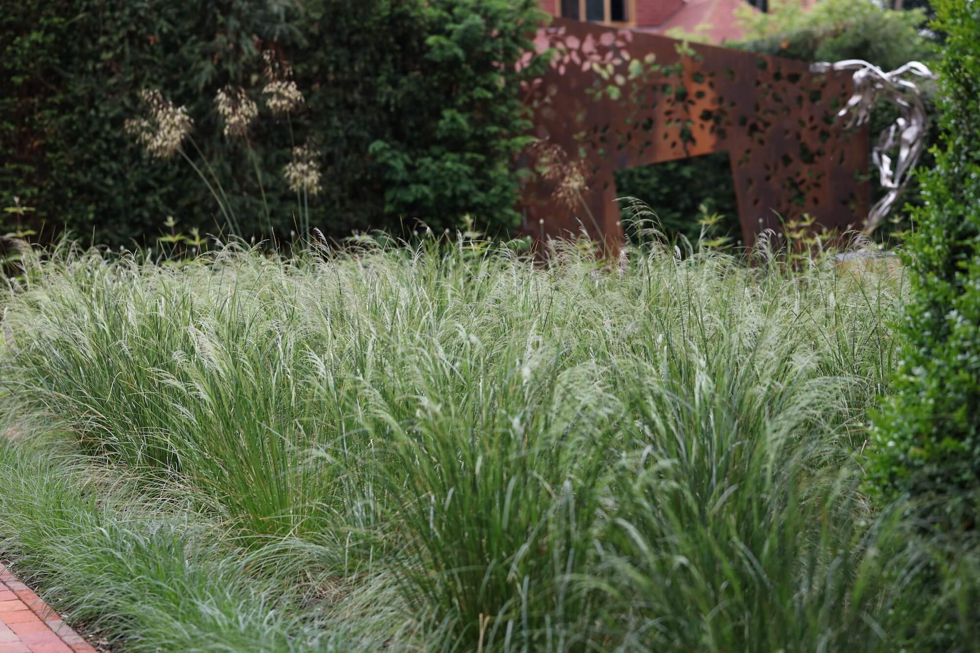 ornamental grasses in landscape construction with sculpture