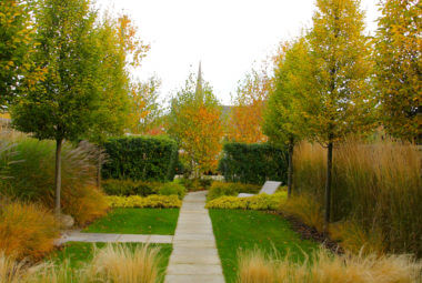 townhouse garden with orange trees lawn path and water pool of black water