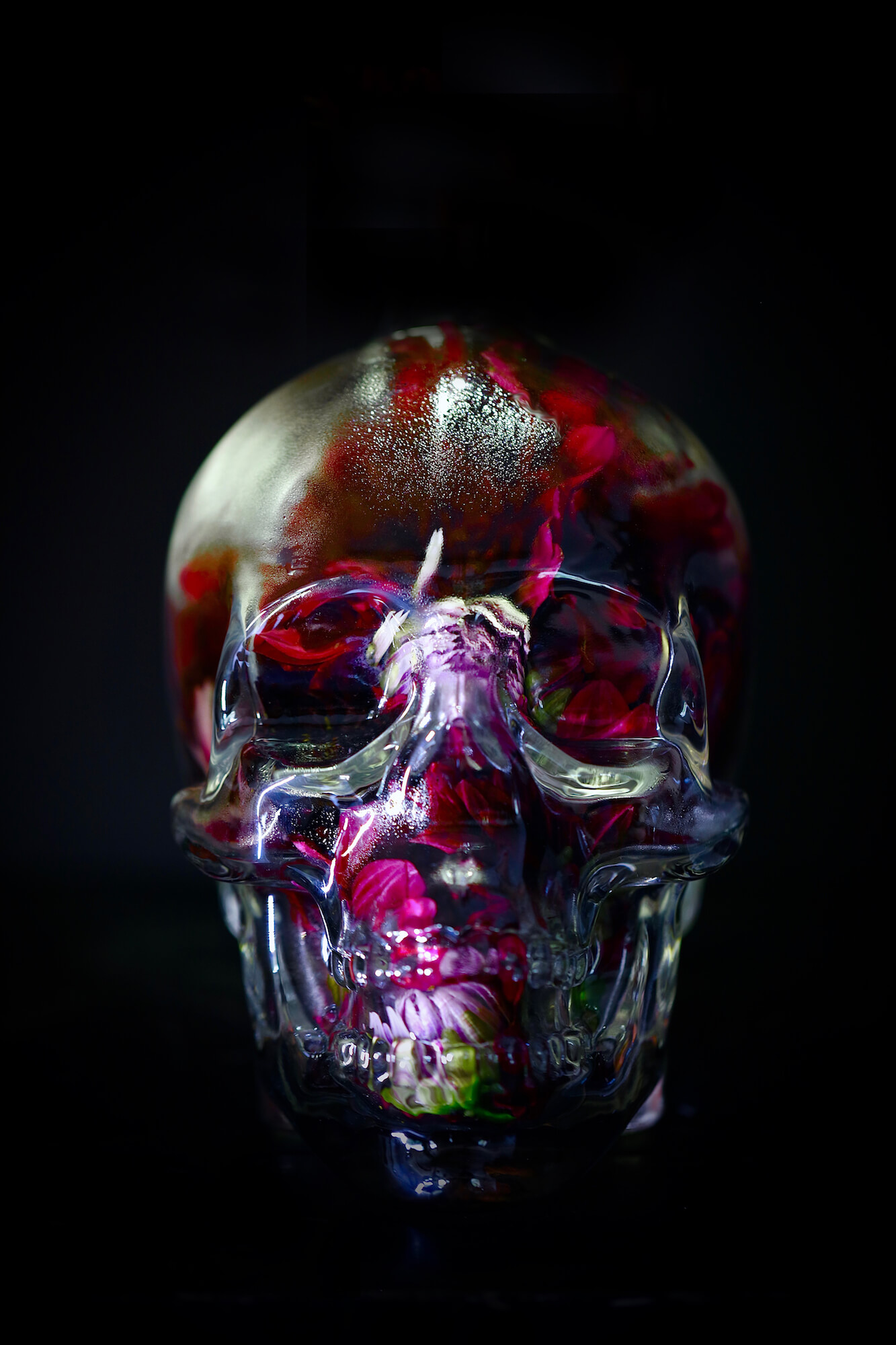 a glass skull full of flowers on a black background