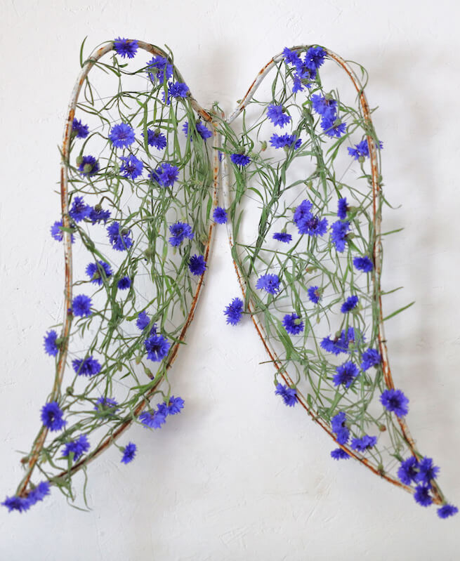 metal wings laced with blue cornflowers hung on a white wall in a cornwall garden deign
