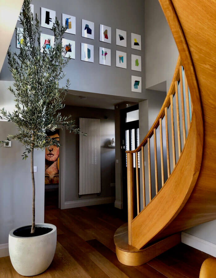 Olive tree indoors with gallery artwork and a twisted staircase