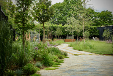 Paved walkway in landscaped garden with planting