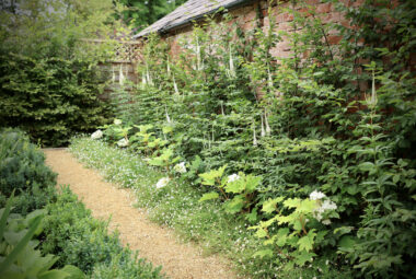 Hoggin pathway through parterre garden in oxfordshire