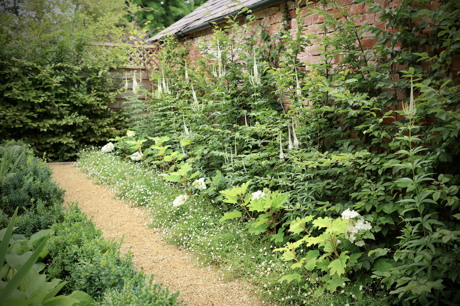 Hoggin pathway through parterre garden in oxfordshire