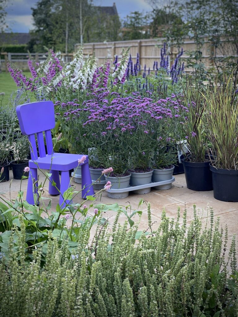 Purple chair amongst pots filled with purple flowers