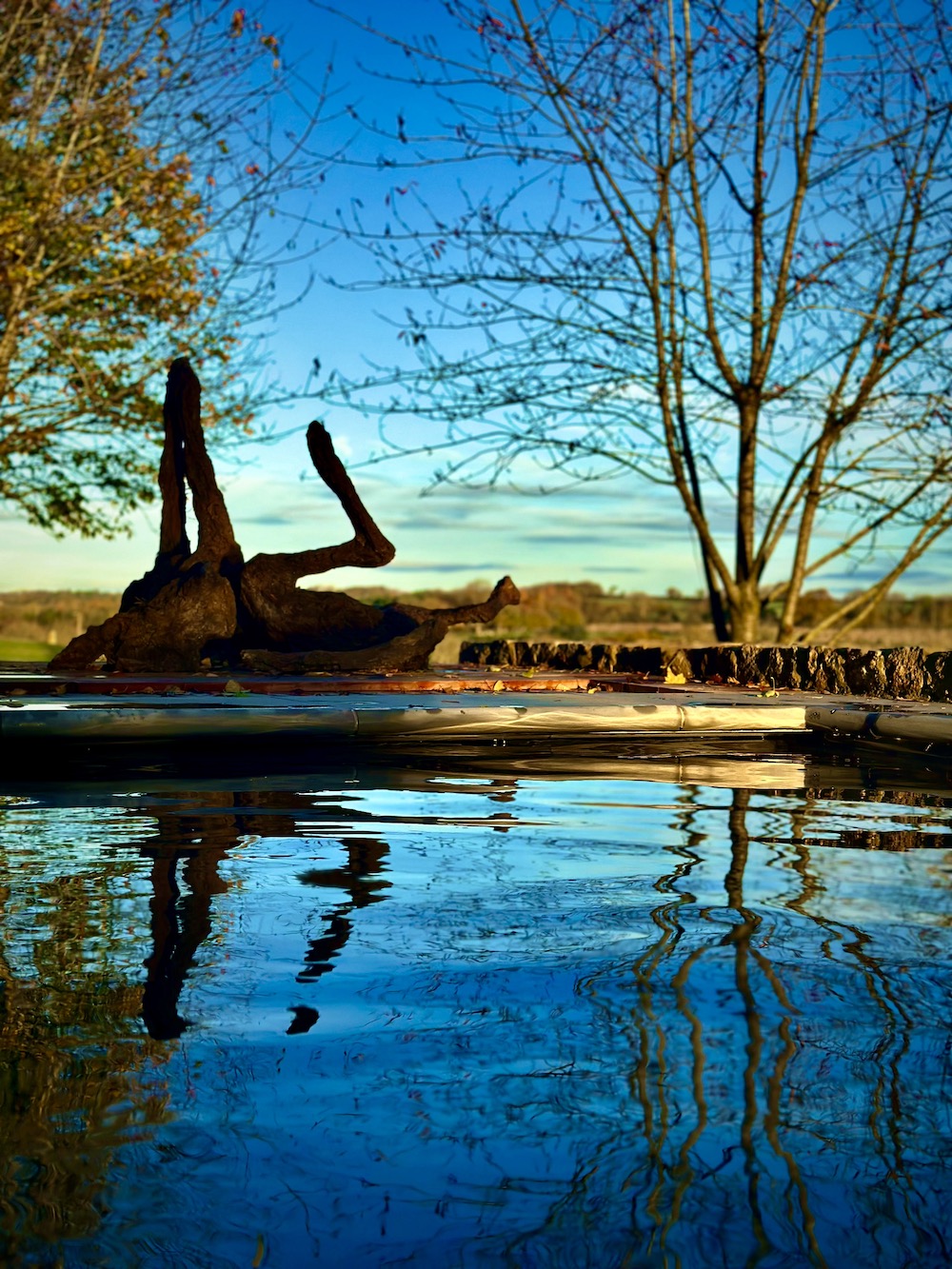 Dog sculpture on calm Autumn morning with reflective water from swimming pool