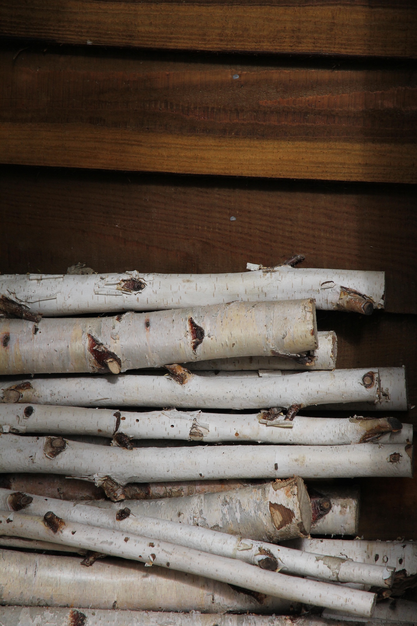 white birch logs in a nordic style cotswolds garden