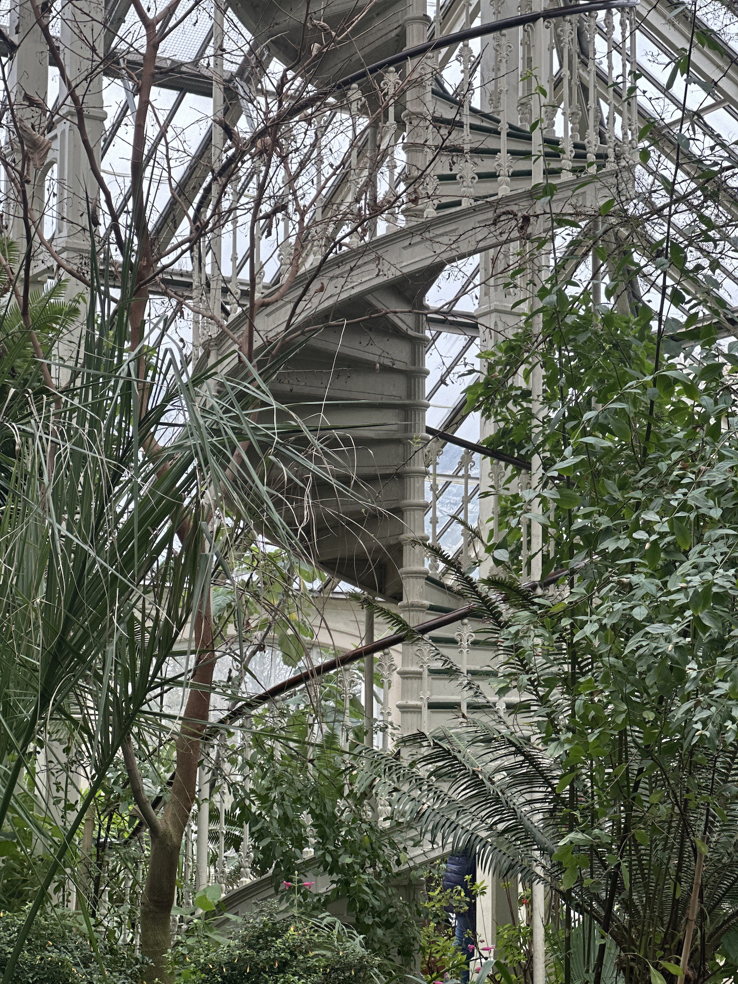 the spiral staircase at Kew Gardens in the Palm house