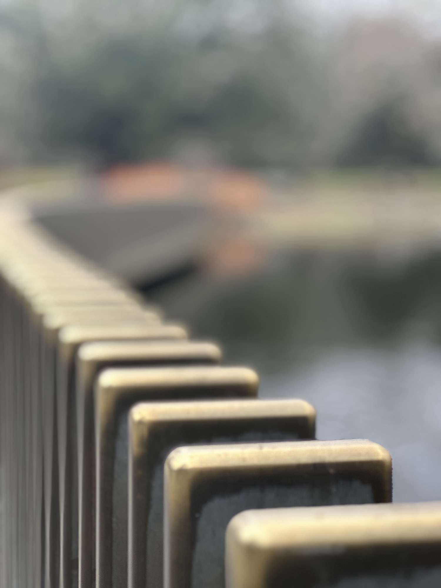 the bridge at Kew Gardens in London